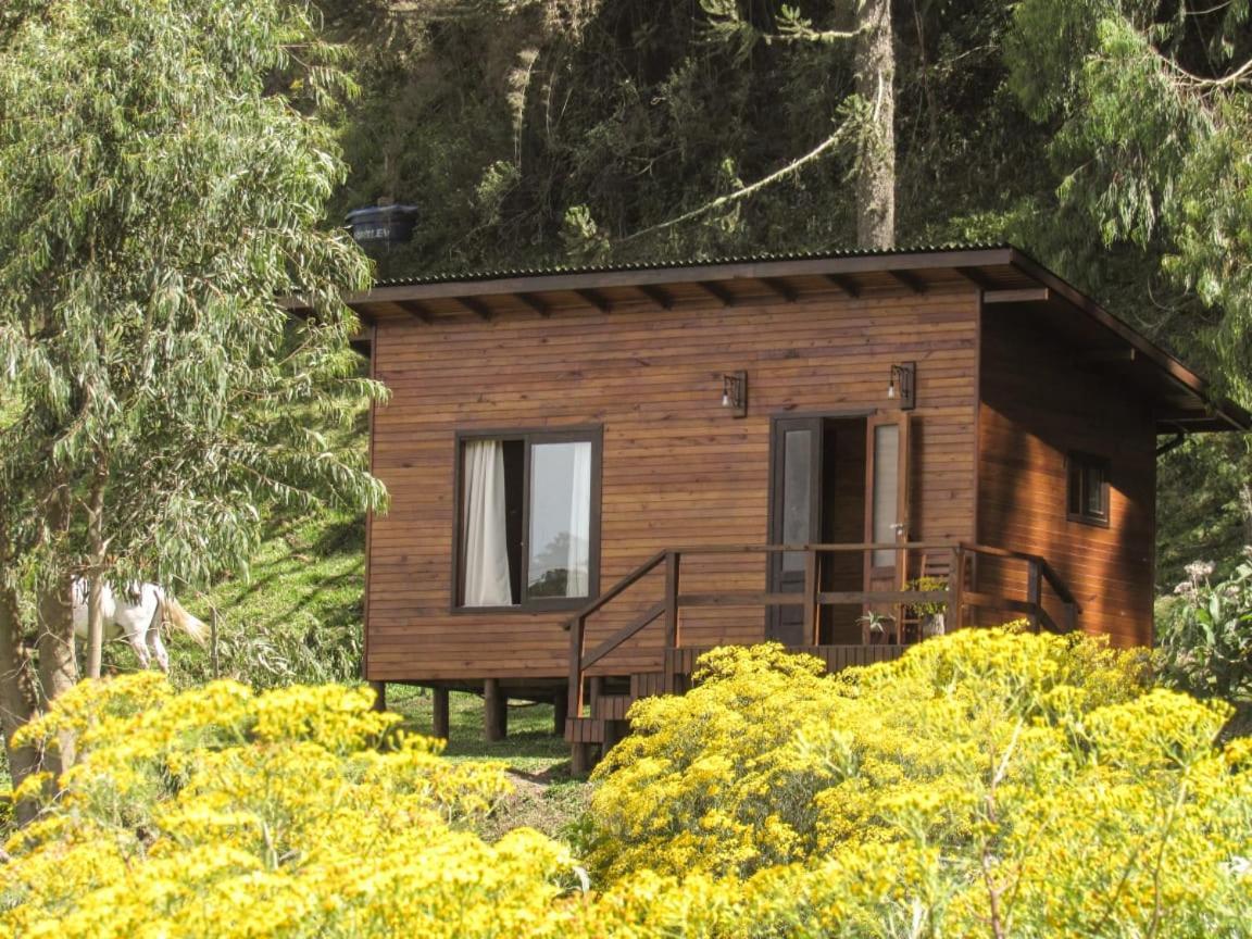 Quinta Dos Ventos Chale Villa Urubici Bagian luar foto