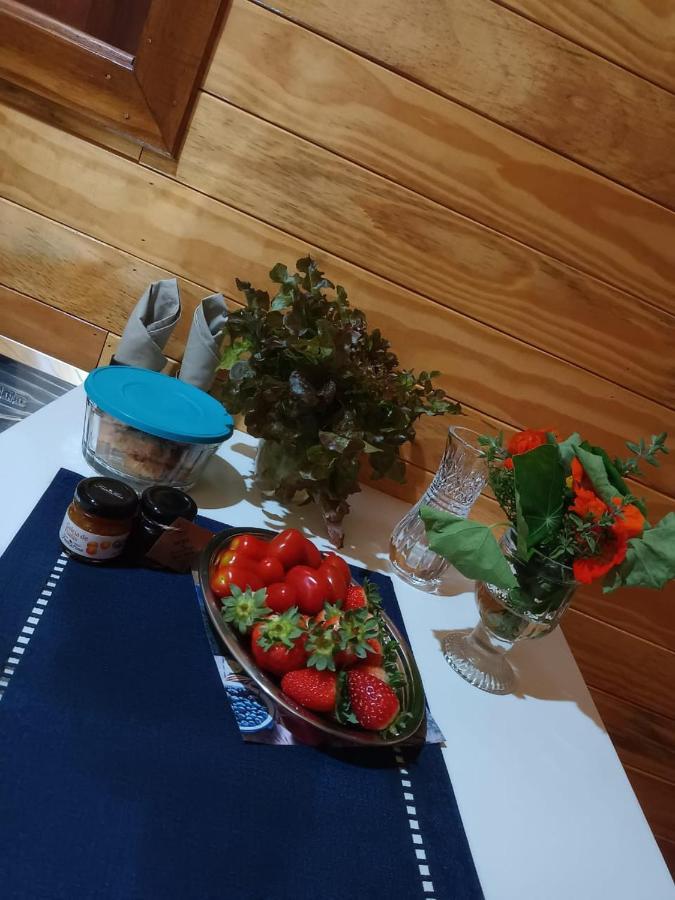 Quinta Dos Ventos Chale Villa Urubici Bagian luar foto