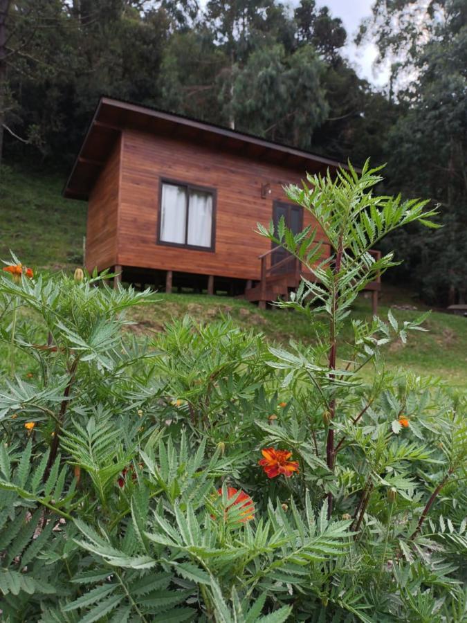 Quinta Dos Ventos Chale Villa Urubici Bagian luar foto